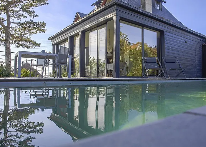 Cigognes * Trouville-sur-Mer